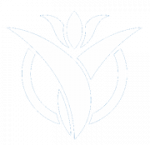 Logo_swissplana_blau_neg